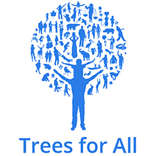 trees for all teambuilding Swansea